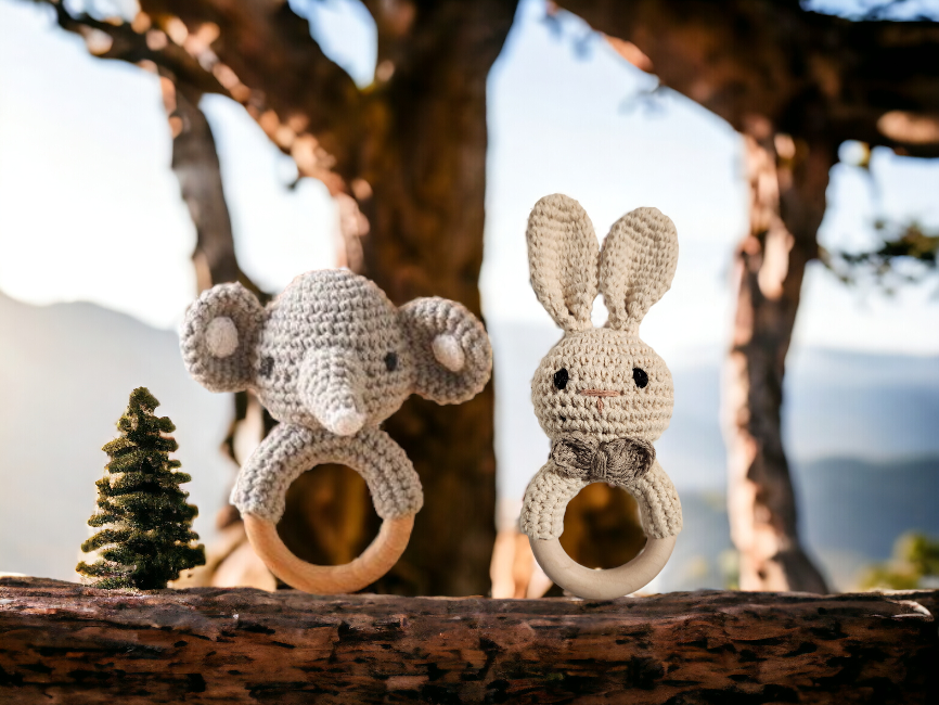 Der Abenteuer Ausflug uf den Berg 🏔️🚂